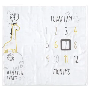 2-Piece Baby Boys Adventure Awaits Milestone Blanket Set