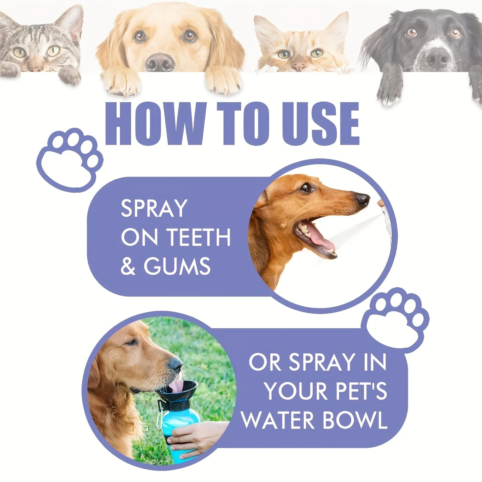 30ml Pet Oral Spray Freshen  Cleanse Your Dogs Breath