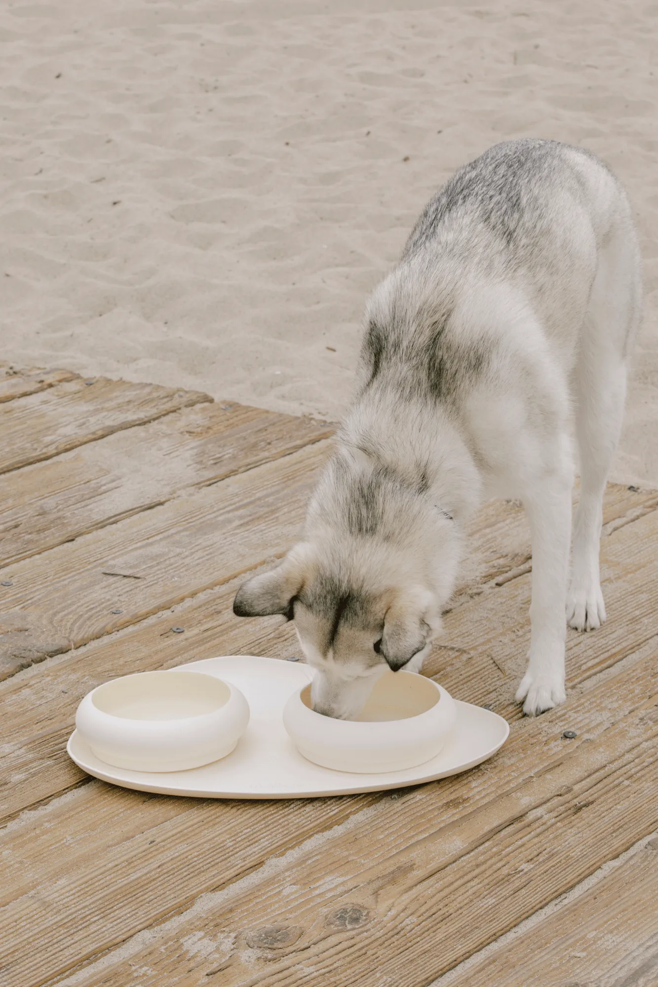 Bubble Bowls & Mat Set