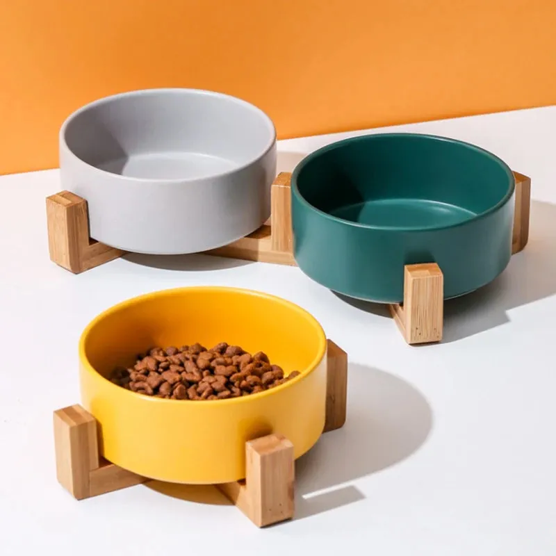 Elegant Ceramic Double Pet Bowl with Wooden Stand