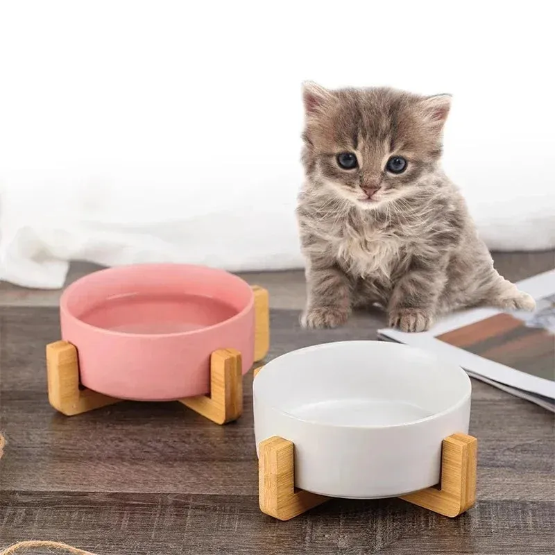 Elegant Ceramic Double Pet Bowl with Wooden Stand