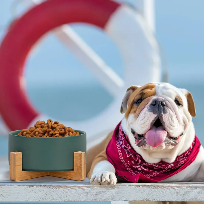 Non-Slip Ceramic Pet Bowl