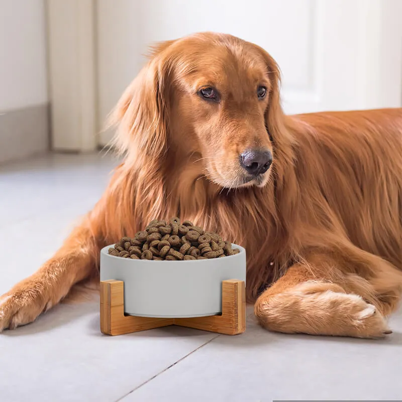 Non-Slip Ceramic Pet Bowl