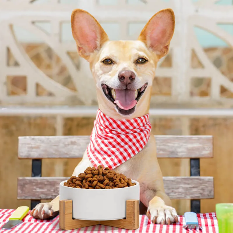 Non-Slip Ceramic Pet Bowl