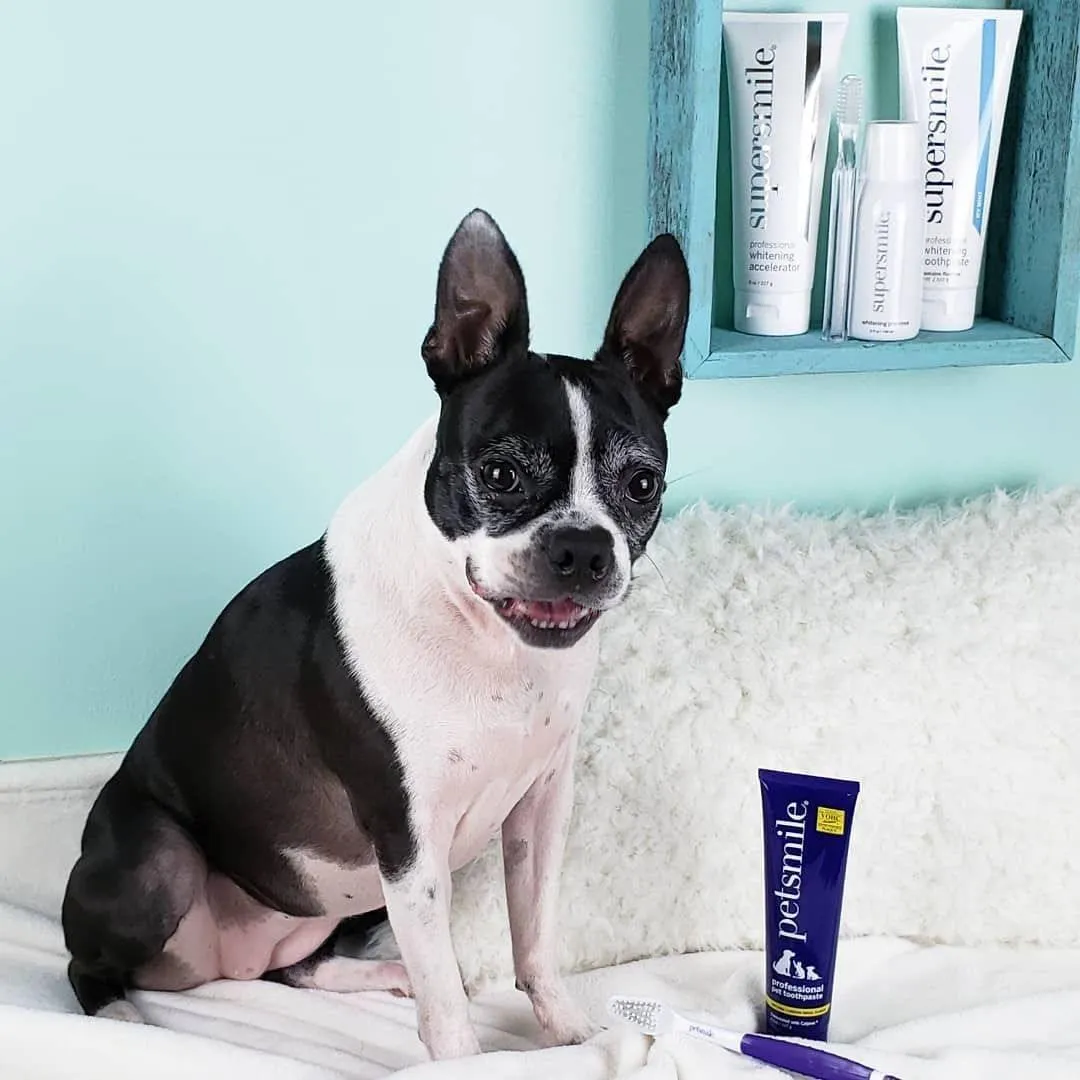 Professional Pet Toothpaste